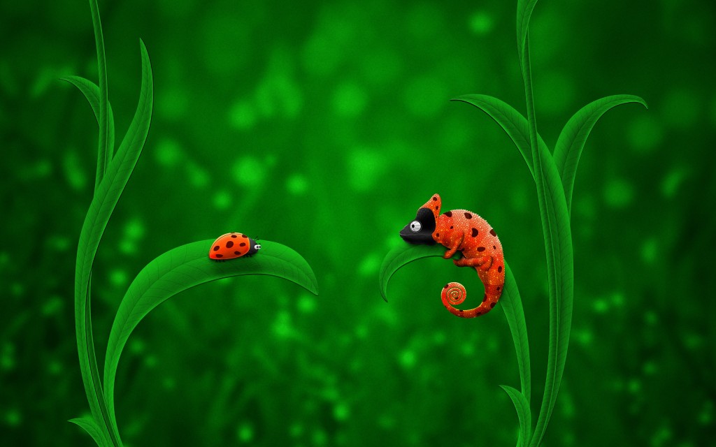 Lady Bug Chameoleon