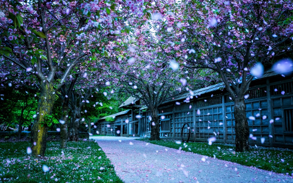mississauga_kariya_park_canada